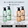 Success 24 Fresh Feel Shampoo (Green Citrus Scent) 13.5 fl