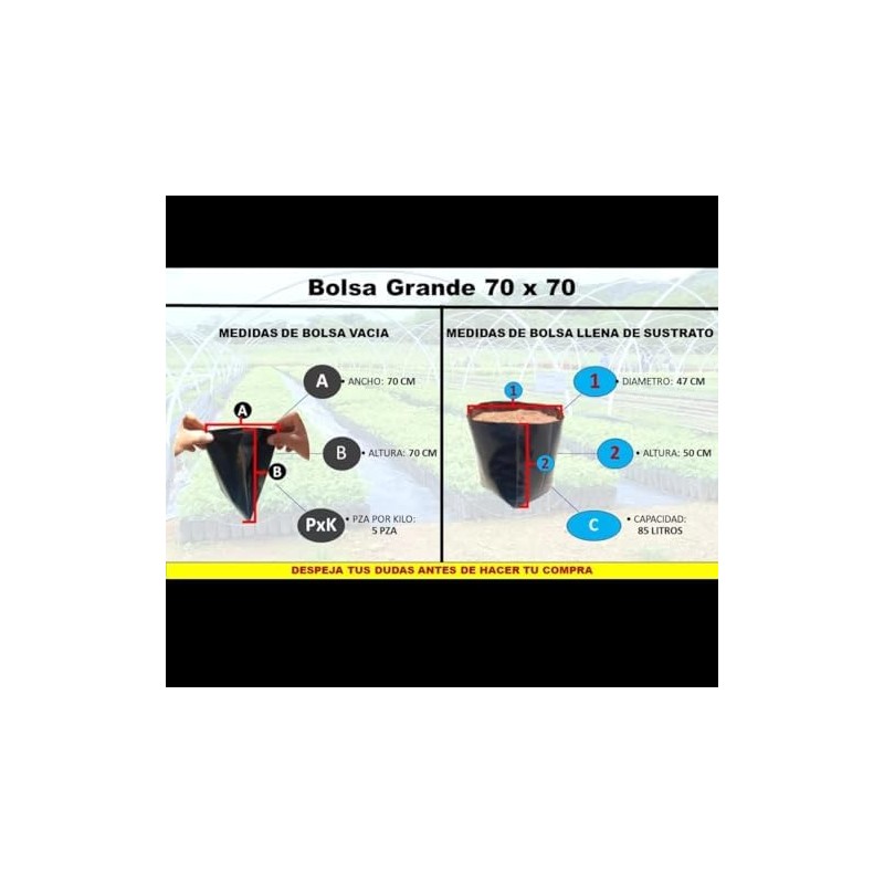 Genérico Bolsas (70x70)
