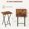Acovy Tv Trays Set of 2, Foldable Table, Small Table