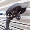 LICHIFIT Saddle Rail Mount for Garmin Varia RVR315 RTL515 RTL510