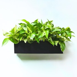 LaLaGreen Wall Planter (16 Inch, 2 Pack) Rectangular Metal Hanging Flower Pot for Succulents Carbon Steel Black, Long Window Sill Box Modern Fence Floating Garden Shelf for Deck Indoor Outdoor Decor