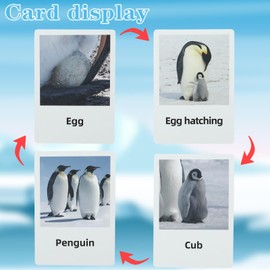 ONEST Mini Penguin Animals Set Penguin Circle Figurines Set Plastic Arctic Penguins Animal Cards for Decorations