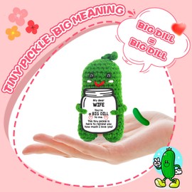 You're a Big Dill to Me Pickle Gift for Wife - Adorable Crochet Doll, Sweet Mother's Day, Birthday, Anniversary Present - Romantic Wife Gifts from Husband, Unique Wife Birthday Gift Ideas