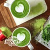 MOCAFE Bebida Matcha Green Tea 1360 gr Frappe