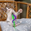 Pack of 24 Cat Wall Toy Replacement Refill Cat Worm