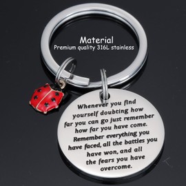 Kivosliviz Ladybug Keychain for Women Men Inspirational Miraculous Lady Bug Birthday Good Luck Jewelry Ladybug Keychains