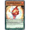YU-GI-OH! - Performage Plushfire (DOCS-EN016) - Dimension of Chaos - 1st Edition - Common
