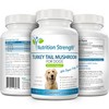 Turkey Tail Mushroom for Dogs to Support a Strong Immune