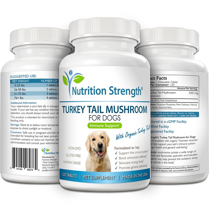 Turkey Tail Mushroom for Dogs to Support a Strong Immune