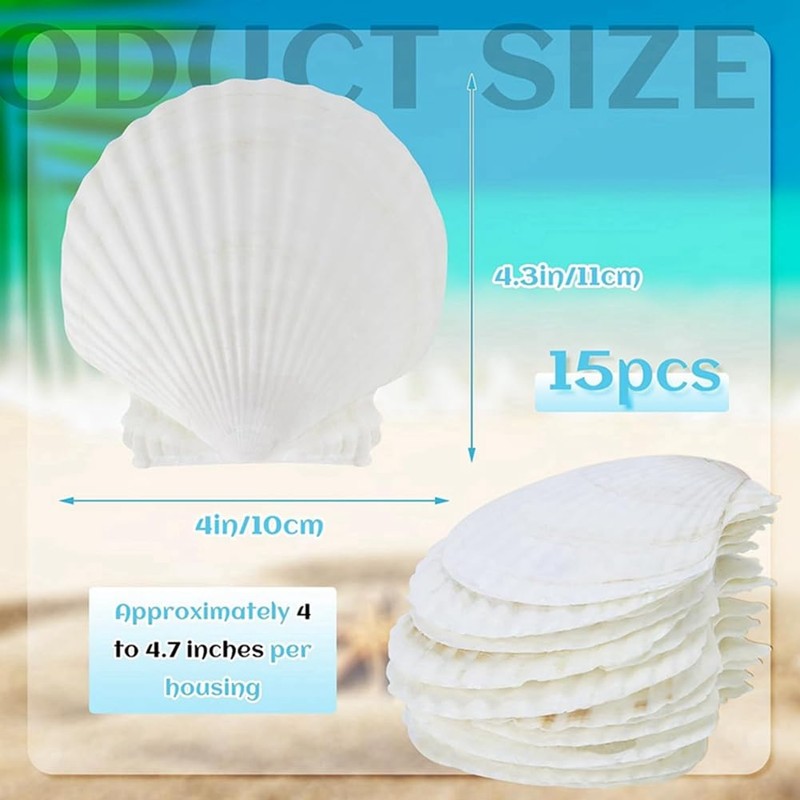 Giilayky 15 PCS Natural Sea Shell Large White, 4-4.7 Inch
