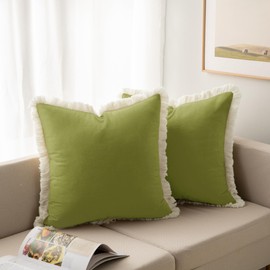 DWCN Velvet Pillow Covers with Tassels Set of 2 Super Soft Boho Solid Pillow Covers with Invisible Zipper, Decorative Throw Pillows for Bed Couch Cushion Living Room 18x18 Inch, Moss Green