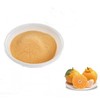Jeju Hallabong Concentrate Powder 1kg