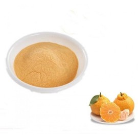 Jeju Hallabong Concentrate Powder 1kg