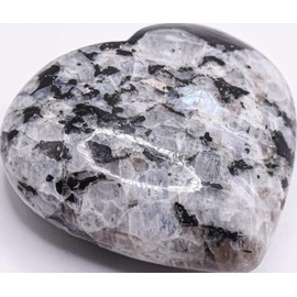 2.5" 120g Rainbow Moonstone w/Tourmaline Carved Heart Polished Natural Blue Flash Sparkling Collectible Gemstone Crystal Mineral Specimen - India + Stand