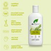 Dr. Organic Tea Tree Conditioner, Cleansing, Oily Roots & Scalp,