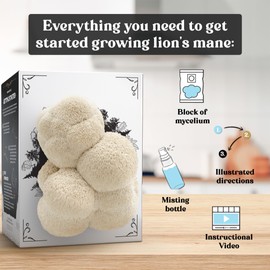 Hodgins Harvest 3 Pack Mushroom Grow Kit | USDA Certified Organic | Grow Your Own Delicious Gourmet Mushrooms at Home