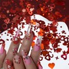 LBPEPAMZ 12 Grids Valentine's Day Nail Art Sequins 3D Holographic