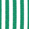 Green Stripe Shoe Bag