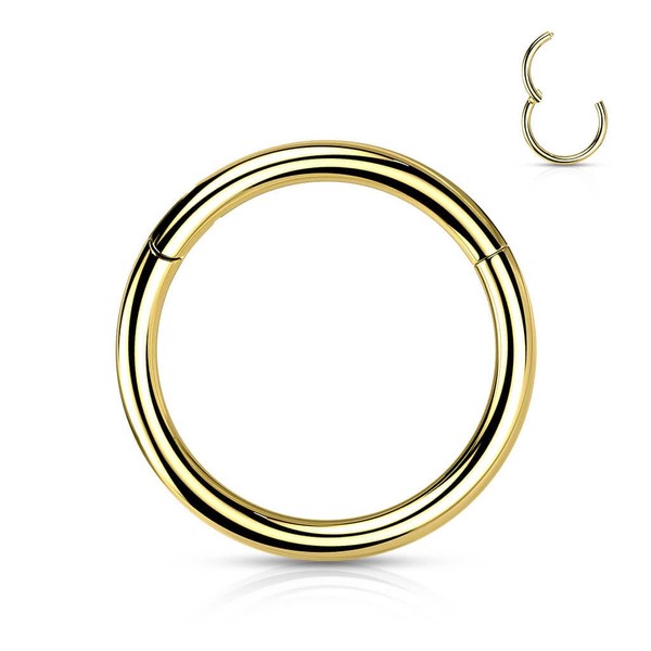 Stachelkleid Titanium Clicker Ring Piercing Segment Ring Silver Helix, Tragus,