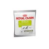 Royal Canin Eduk 50g/Snack/Supplement / 에듁 50g/간식/영양제