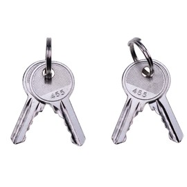 4 Ignition Keys 21982 21982GT for Genie Lift GS-1530 GS-1930 GS-2046 GS-3246 GS-4390 GS-5390 S-40 S-60 Z-20/8 Z-34/22N Z-45/25J Z-60/34