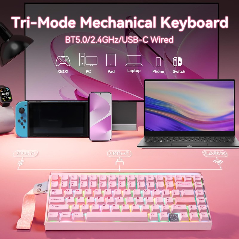 Aula Hero 75 HE Wireless Gaming Keyboard,Black Mechanical Keyboards
