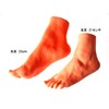 Foot Model Female Left Foot 8.3 inches (21 cm) Life