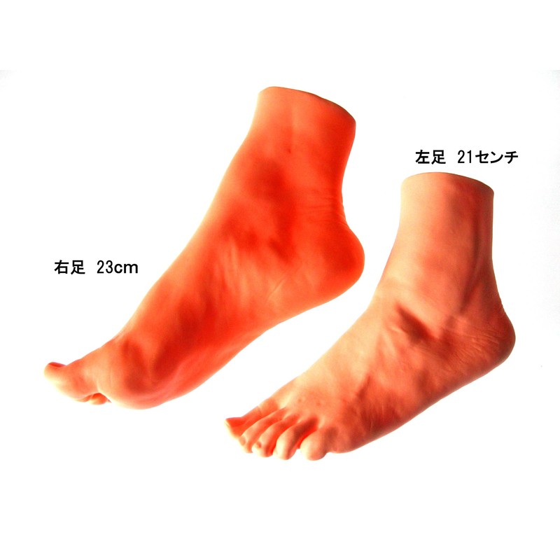 Foot Model Female Left Foot 8.3 inches (21 cm) Life