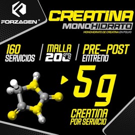 Forzagen | Creatina Monohidrato de Alta Pureza | 5 g de Creatina | 160 Servicios | Sin Sabor | Pre Entrenamiento | Alto Rendimiento | 800 g