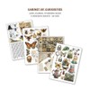 Ciao Bella Cabinet Of Curiosities Ephemera Book & Junk Journal