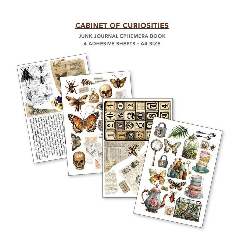Ciao Bella Cabinet Of Curiosities Ephemera Book & Junk Journal