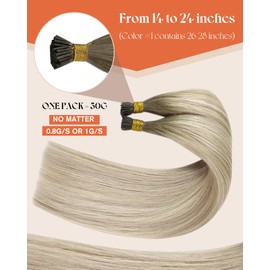 Sunny Hair 24inch I Tip Hair Extensions Long I Tip Hair Extensions Human Hair Ash Blonde Ombre Platinum Blonde Cold Fusion Long-lasting Pre Bonded Soft Add Luster 50g