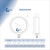CARBO Instruments 5000 PSI Glycerin Liquid Filled Pressure Gauge, 4"