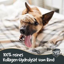 Pets PROTECT Pure Collagen Powder for Dogs and Cats, 300 g, Joint Health Dog, Collagen Hydrolysate Made in Germany, 100% Natural, Collagen with Maximum Nutrient Density