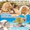 Totsmile 4PCS 5'' Large Sea Turtle & Tortoise Toys Figurines,