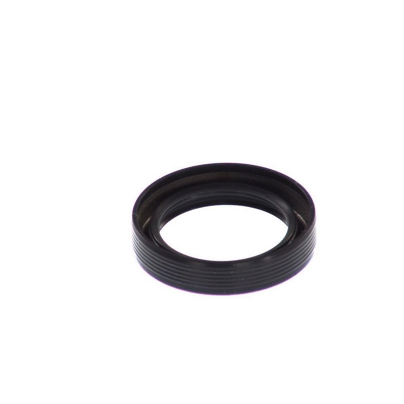 Elring 475.961 Seal Ring