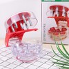 Cherry Pitter Removes Kernels Quickly and Easily - Pitted Cherries