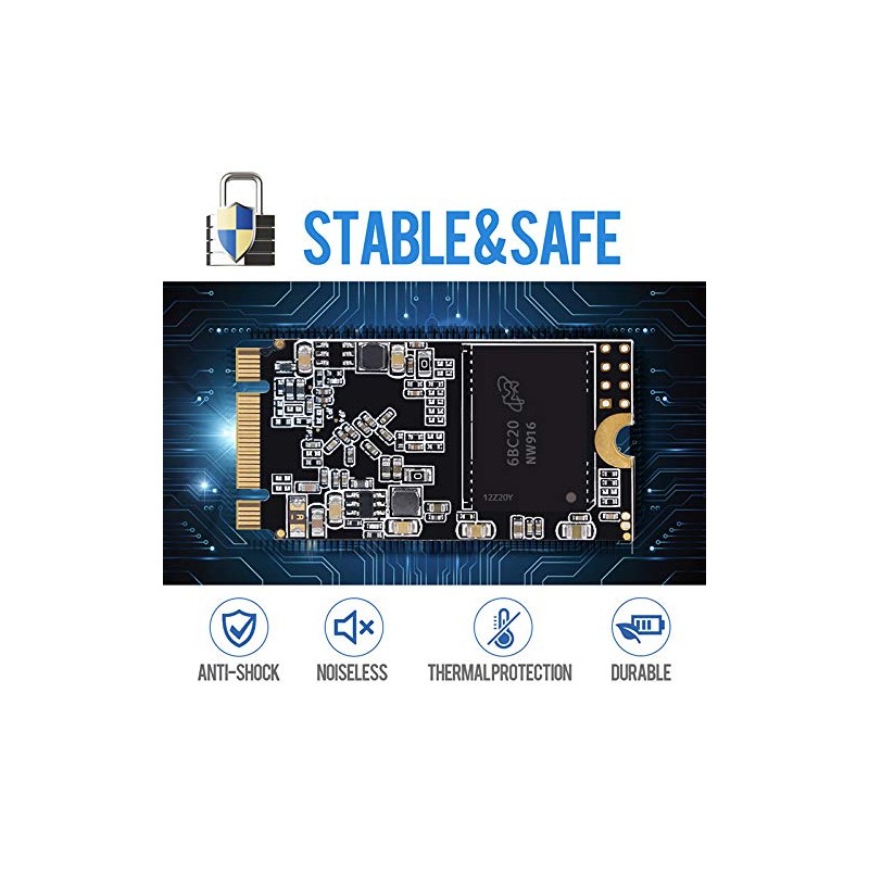 Dogfish SSD M.2 2242 250GB Solid State Drive Ngff Internal