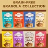 Paleonola Pina Colada Grain Free Granola, 10 Oz Resealable Bag