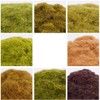 Cayway Pack of 10 Model Building Trees, Miniature Landscape, Static