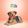 Fancy Pets Juguete Mordedera de Hueso de Caucho con Huellas