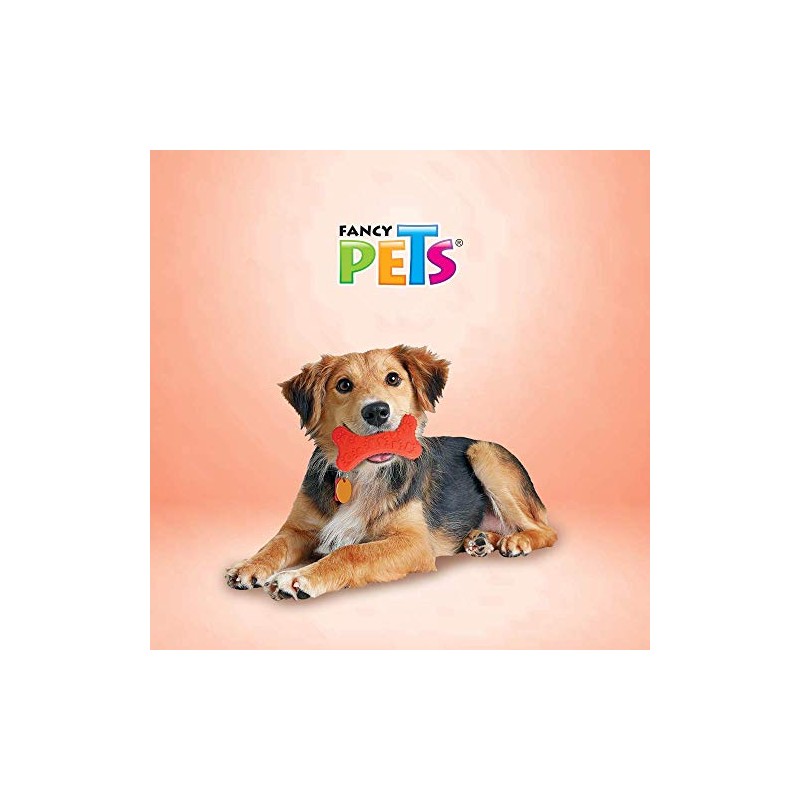 Fancy Pets Juguete Mordedera de Hueso de Caucho con Huellas