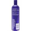 Clairol Shimmer Lights Blonde and Silver Shampoo Shampoo Unisex 16