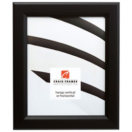 Craig Frames 14273 16 by 20-Inch Picture Frame, Smooth Wrap Finish, 1.38-Inch Wide, Black Satin