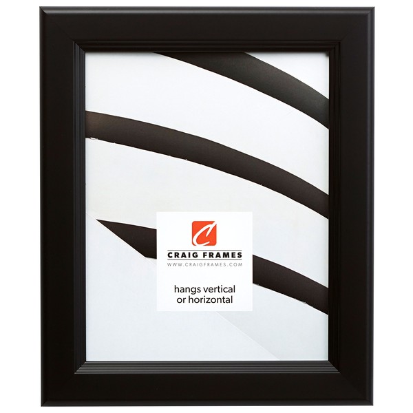 Craig Frames 14273 16 by 20-Inch Picture Frame, Smooth Wrap