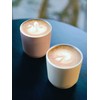 KINTO 20431 To-Go Tumbler, 8.5 fl oz (240 ml), Includes