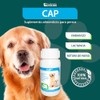 RUILAND Ca-P Suplemento con Vitamina D, Calcio y Fósforo para