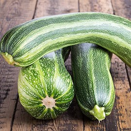 Italian Striped Zucchini Summer Squash Garden Seeds - 1 Lbs - Non-GMO, Heirloom - Vegetable Gardening Seed