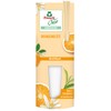Frosch Oase Orange Blossom Refill 90 ml with Natural Oils