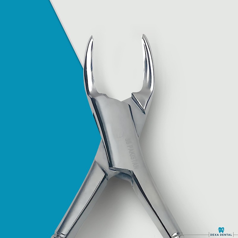 DEXA DENTAL Heavy Duty Dental Extracting Forceps # 150 Apical